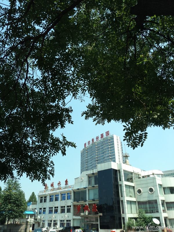 IMG_20140725_120605