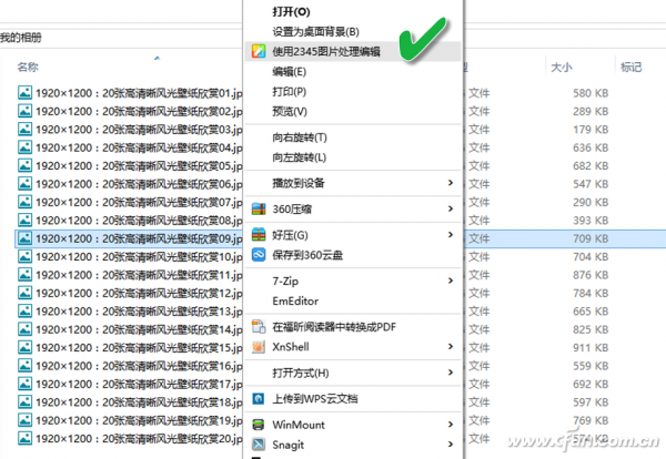 1513A-ZPDM (1)