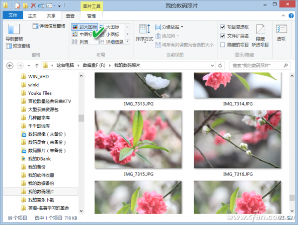 1512A-TJBDS-2