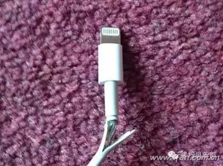 为什么你的iphone数据线总是很容易损坏?