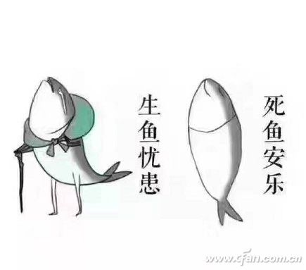 微信图片_20170601161101