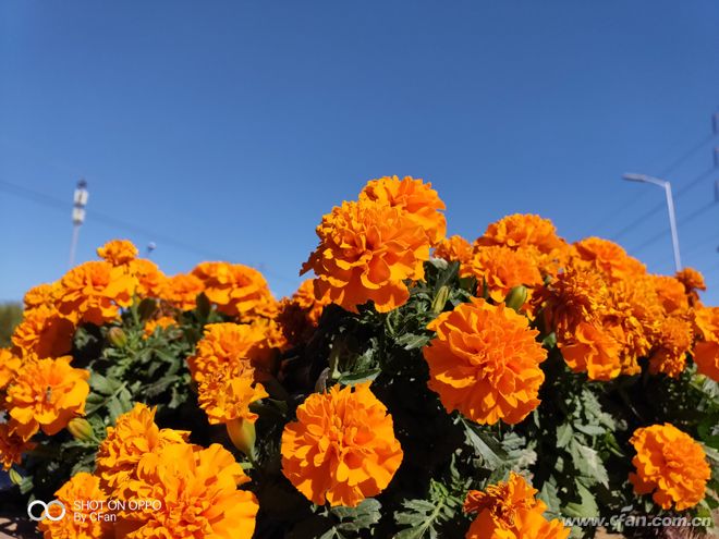 IMG20181029123859