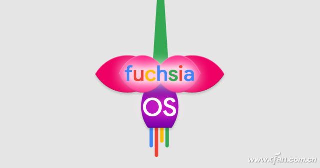 fuchsia是什么颜色图片